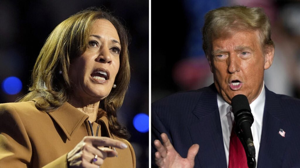 Kamala Harris Leads Donald Trump in All Major U.S. Polls